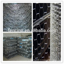 Treillis hexagonal en treillis hexagonal 10 mm / pvc anping factory